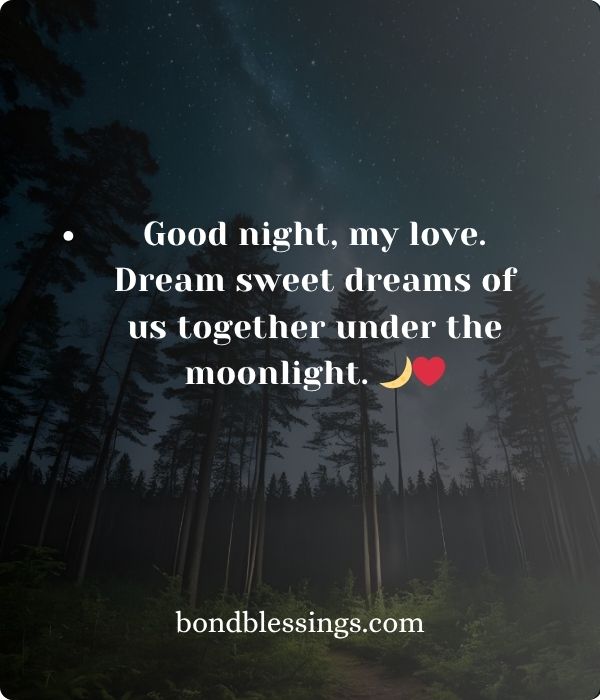 Sweet and Loving Good Night Texts for Her