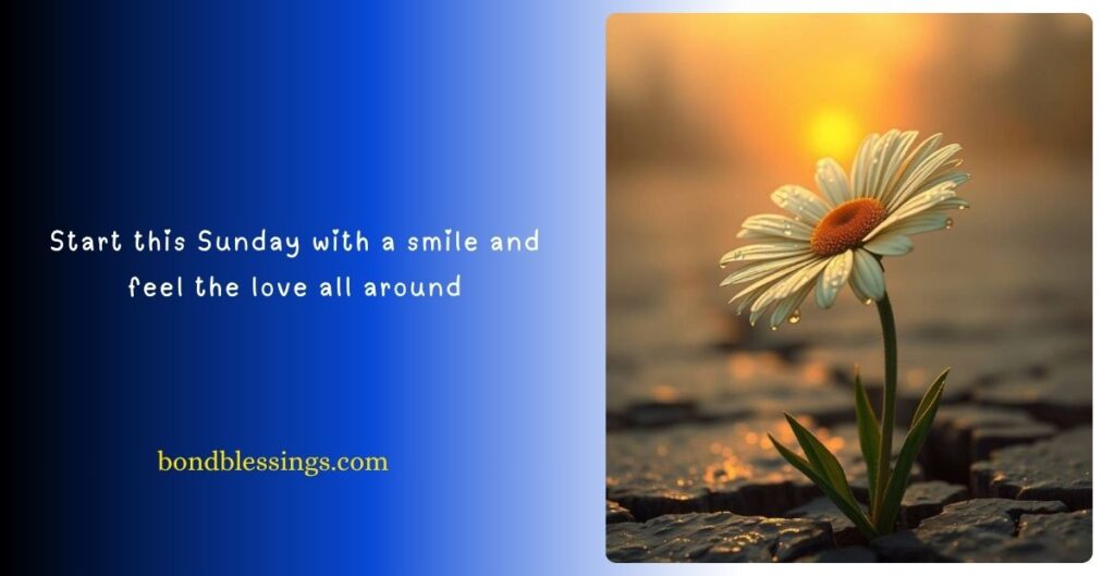 Sunday Blessings Good Morning