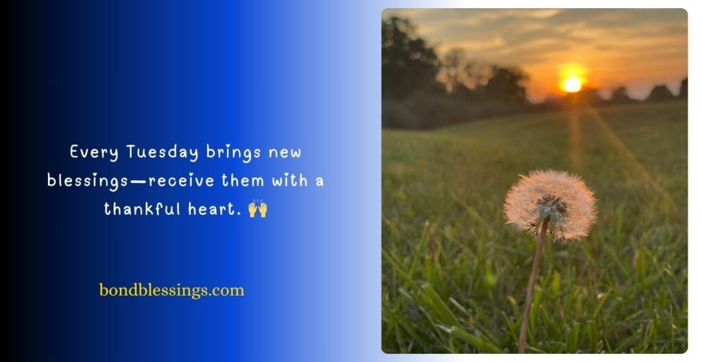 Good Morning Tuesday Inspirational Blessings