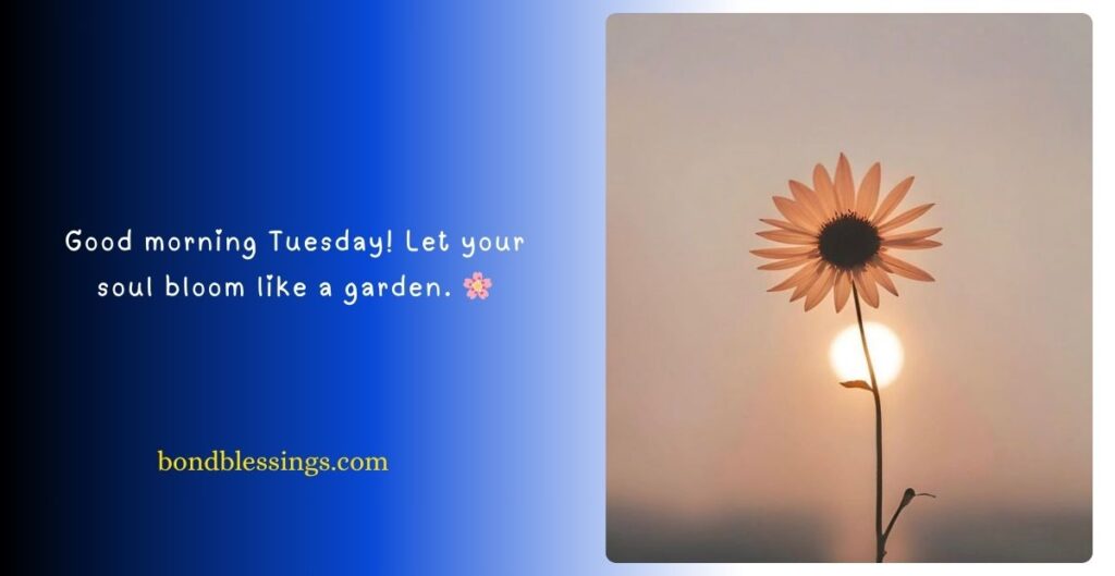 Tuesday Blessings and Prayers
