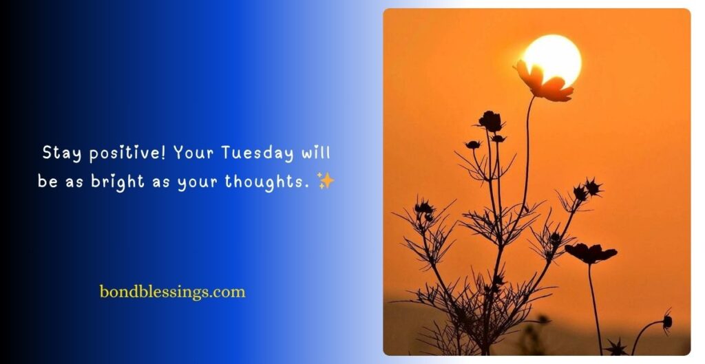 Good Morning Tuesday