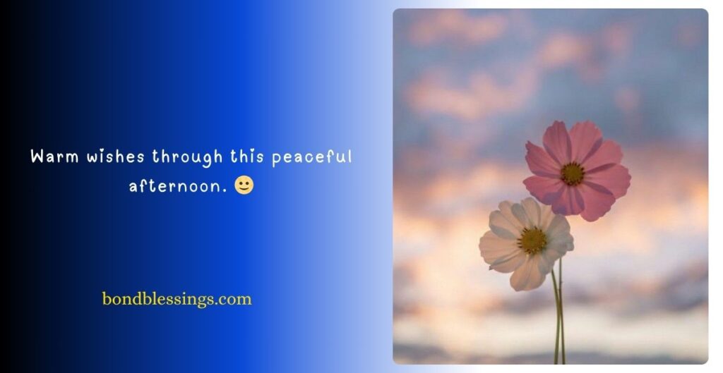 Good Afternoon Images