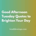 good afternoon tuesday