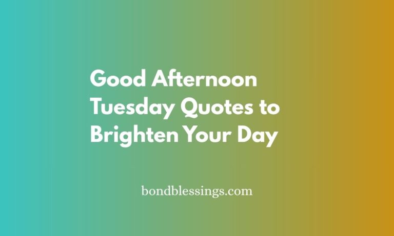 good afternoon tuesday
