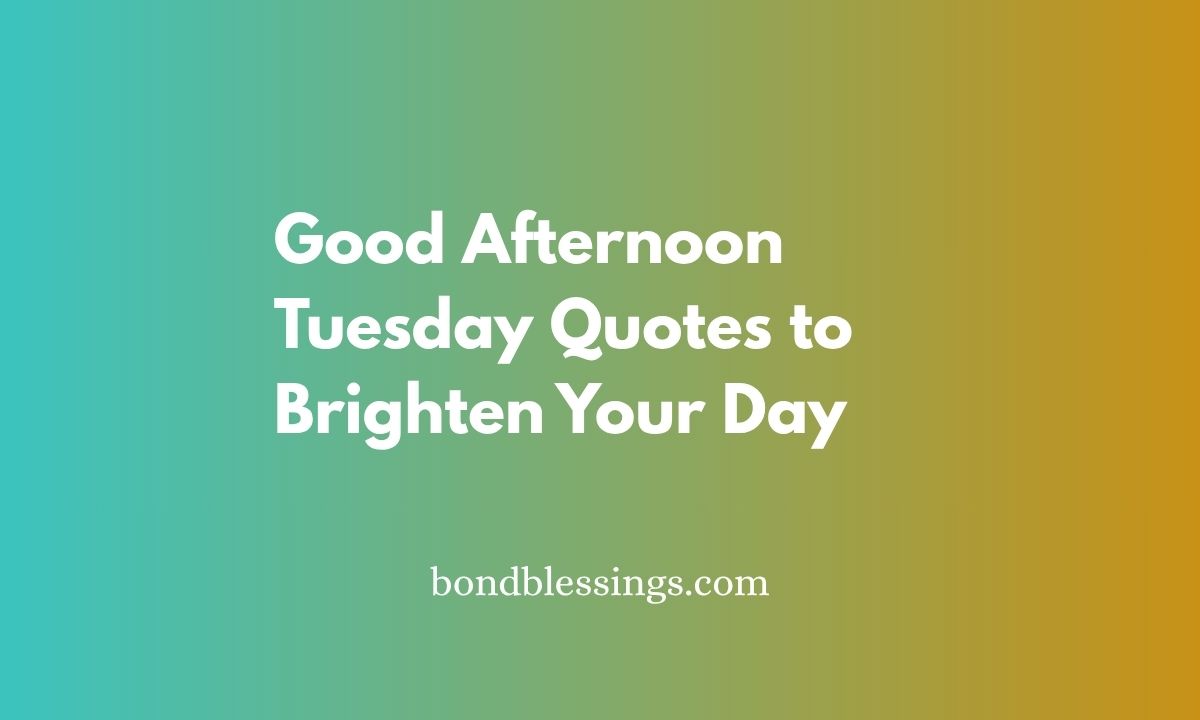 good afternoon tuesday